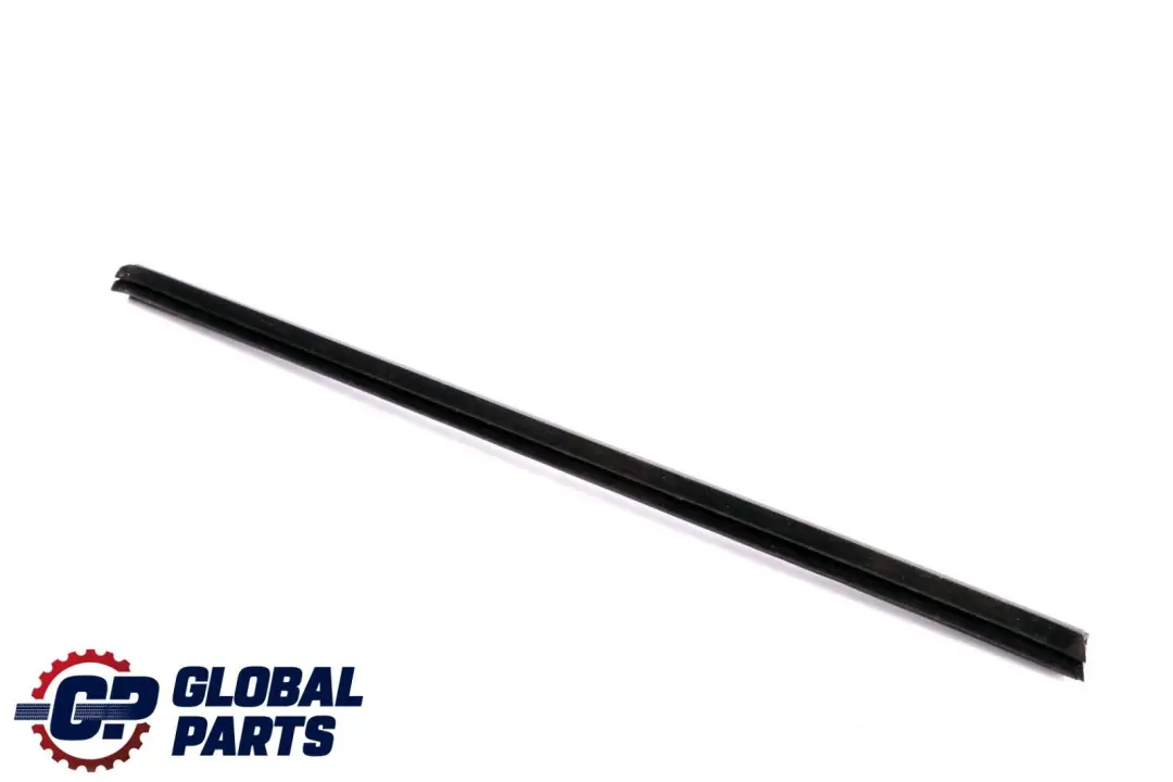 BMW X6 Series E71 Rear Right Door O/S Inner Weatherstrip Sealing Trim 7179404