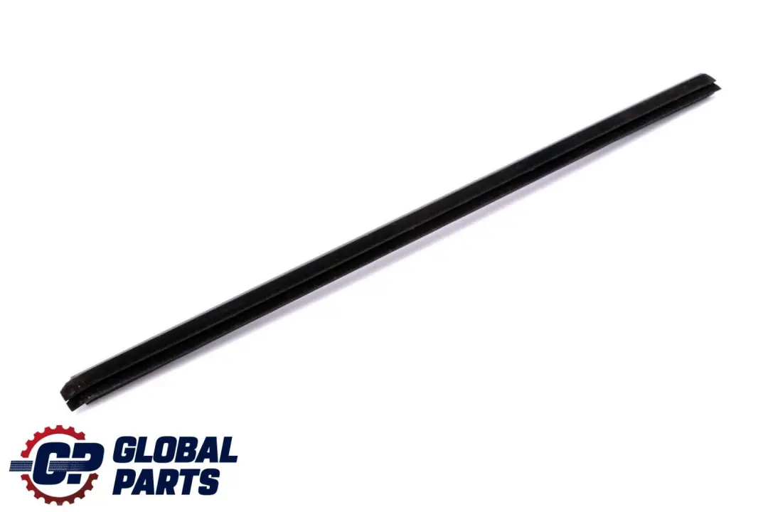 BMW X6 Series E71 Rear Right Door O/S Inner Weatherstrip Sealing Trim 7179404