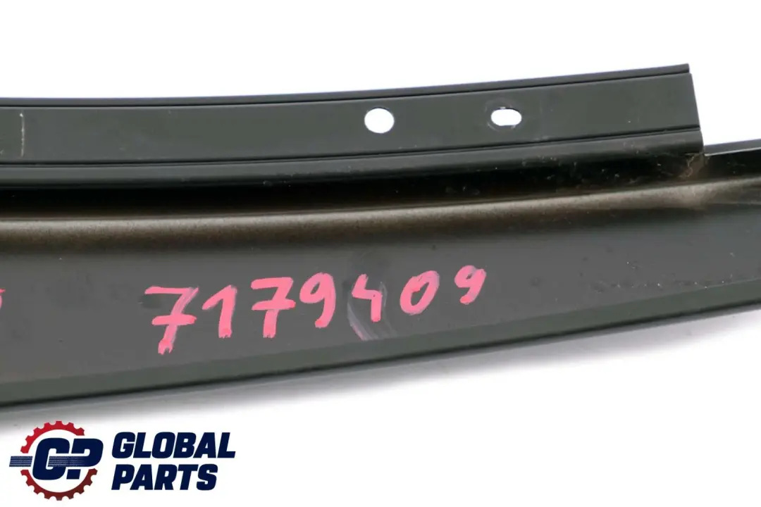 BMW X6 Series E71 Cover Column B Pillar Door Rear Left N/S 7179409