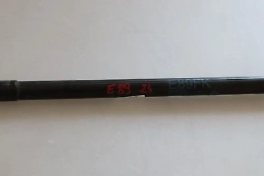 BMW Z4 E89 Cabrio Roadster Gas Pressurized Spring Lifter Bonnet 7191528
