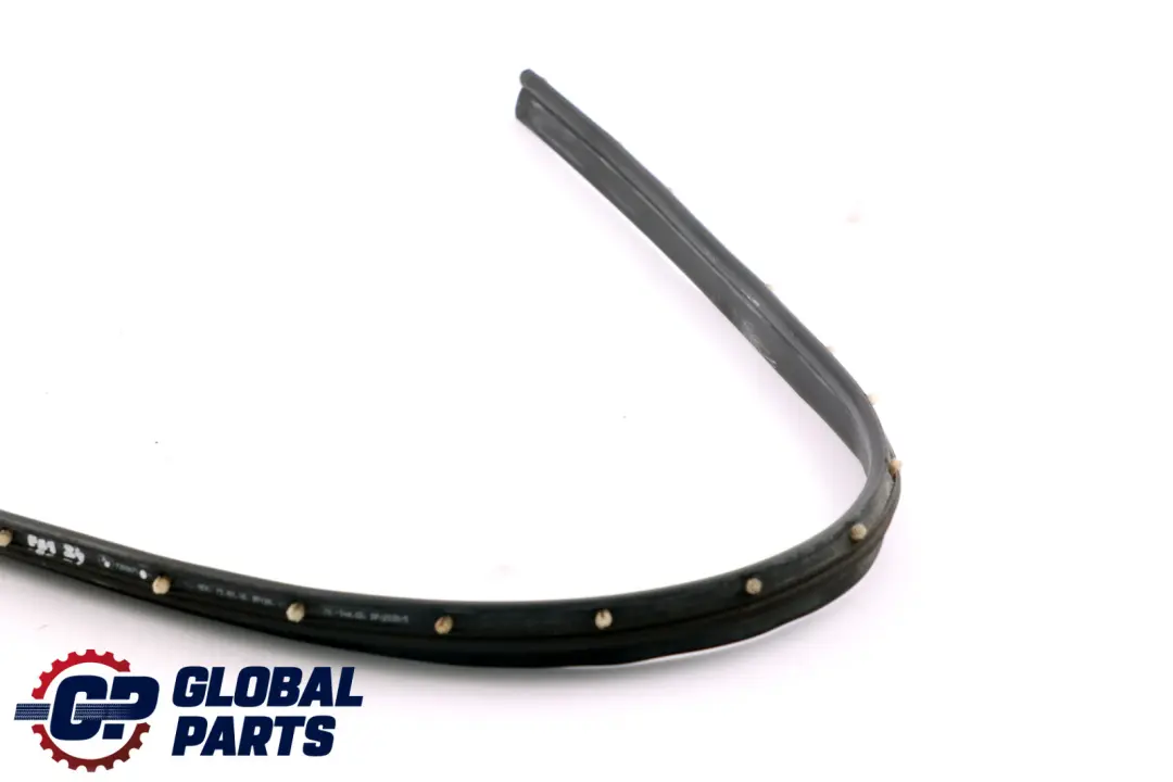 BMW Z4 Series E89 Door Gasket Weatherstrip Joint Seal Front Left N/S 7203671