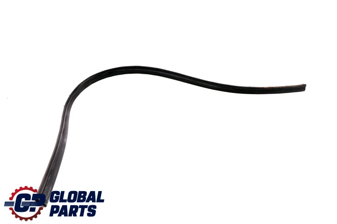 BMW Z4 Series E89 Door Gasket Weatherstrip Joint Seal Front Left N/S 7203671