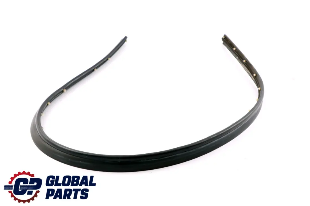 BMW Z4 E89 Door Gasket Weatherstrip Joint Seal Front Left N/S 7203671