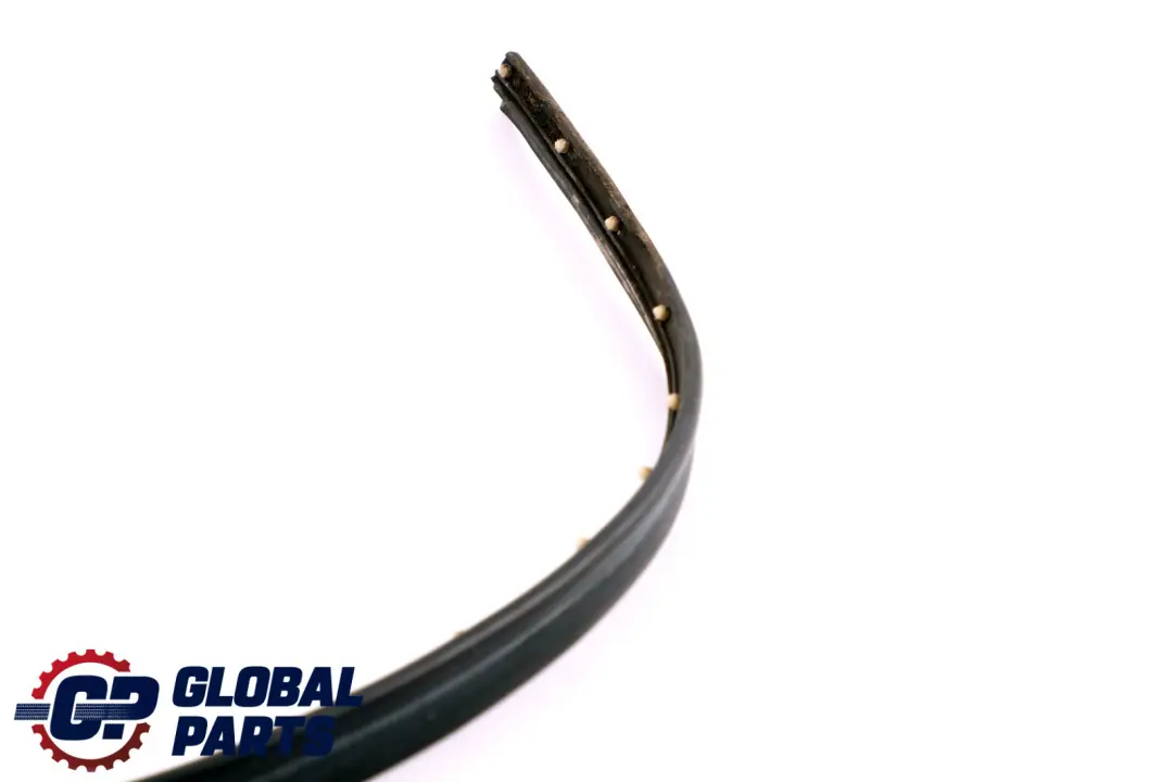 BMW Z4 E89 Door Gasket Weatherstrip Joint Seal Front Left N/S 7203671