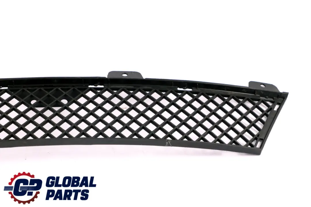 BMW Z4 Series E89 Grid Grille Centre Lower Bumper Front 7203790