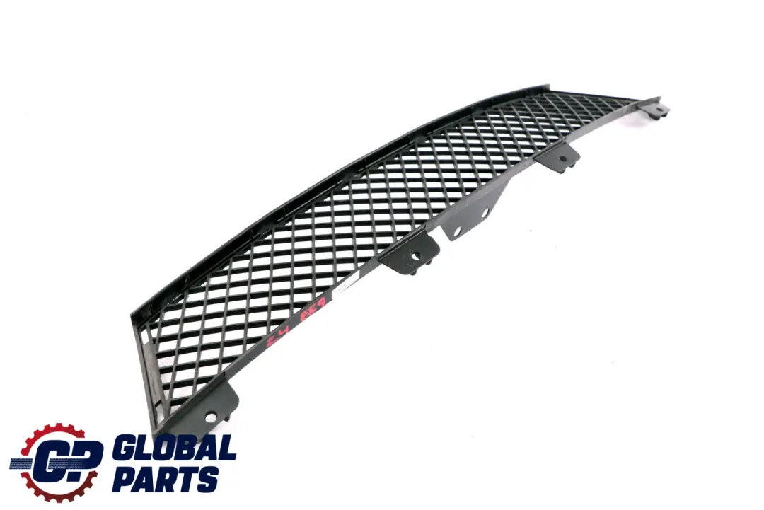 BMW Z4 Series E89 Grid Grille Centre Lower Bumper Front 7203790