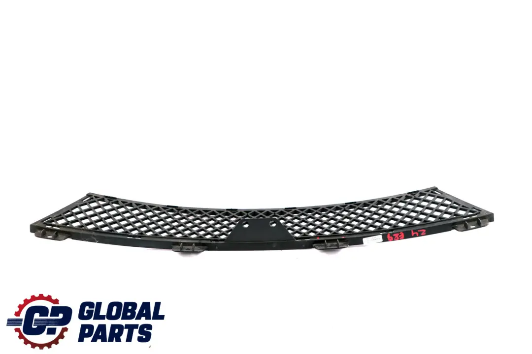 BMW Z4 Series E89 Grid Grille Centre Lower Bumper Front 7203790
