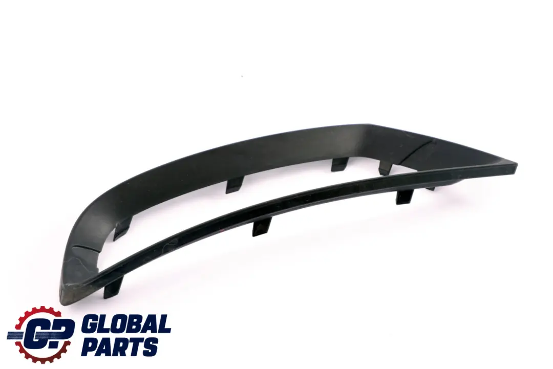 BMW Z4 E89 Grille Trim Cover Right Black O/S 7203794