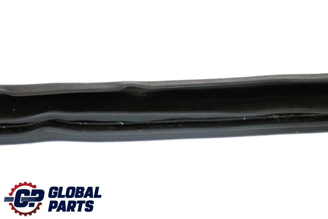 BMW X6  E71 Rear Left Door Seal Weatherstrip Sealing 7221843