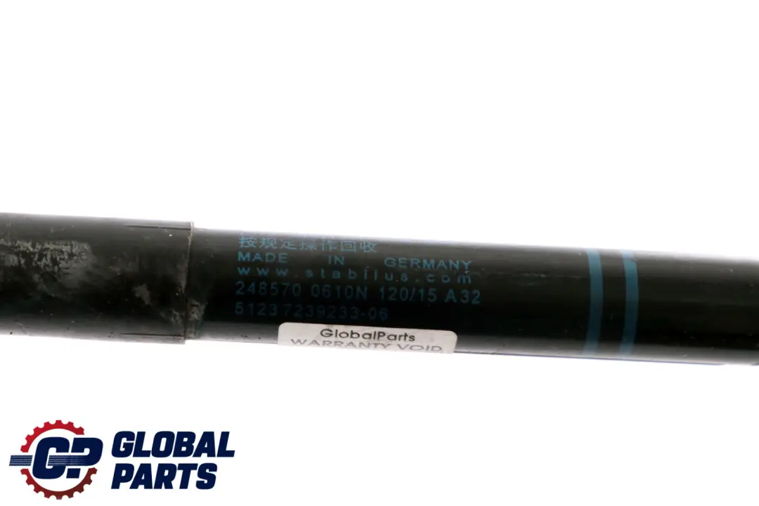 BMW 2 3 F20 F21 F22 F30 F31 F32 Juego Capo Gas Strut 7239233