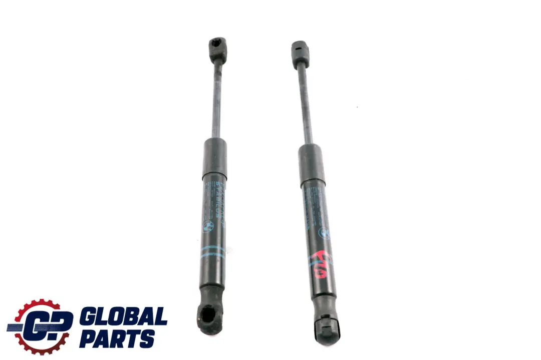 BMW 2 3 F20 F21 F22 F30 F31 F32 Juego Capo Gas Strut 7239233