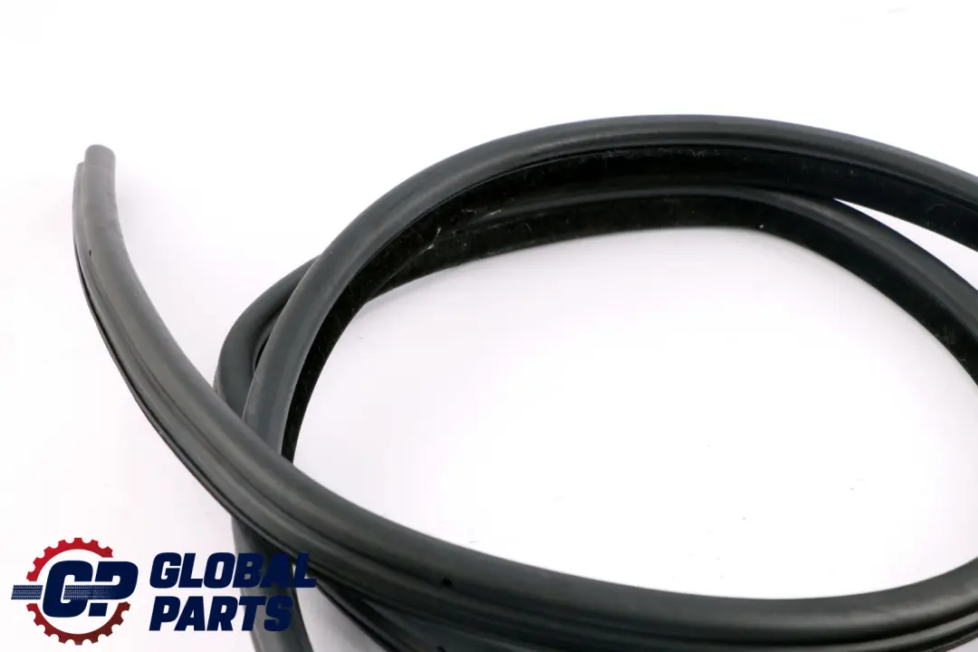 BMW 3 Series E91 LCI Edge protection gasket seal door rear right left sued O/N/S