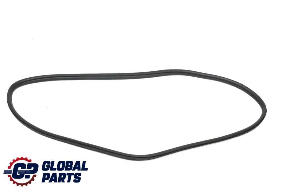 BMW 3 Series F30 Rear Door Seal Gasket Weatherstrip Left Right N/O/S 7258311