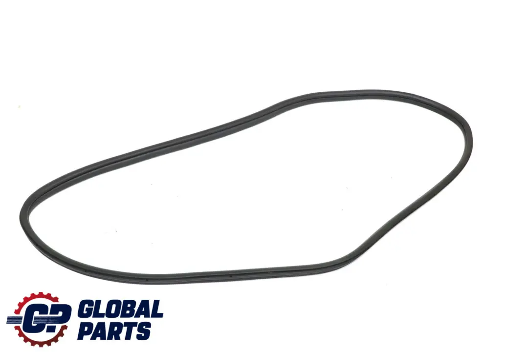 BMW 3 Series F30 Rear Door Seal Gasket Weatherstrip Left Right N/O/S 7258311