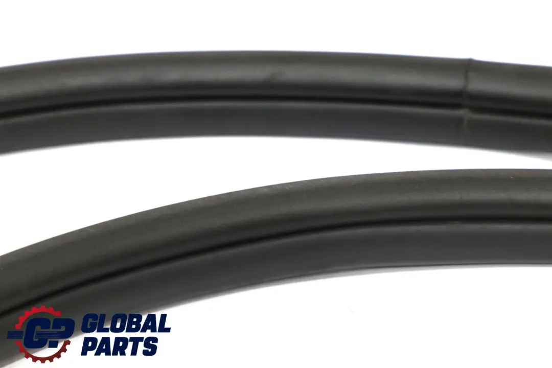 BMW 3 Series F30 Rear Door Seal Gasket Weatherstrip Left Right N/O/S 7258311