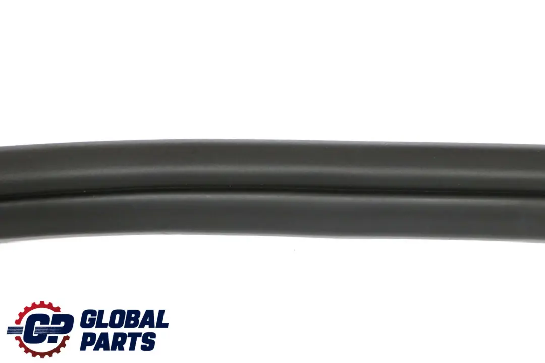 BMW 3 Series F30 Rear Door Seal Gasket Weatherstrip Left Right N/O/S 7258311