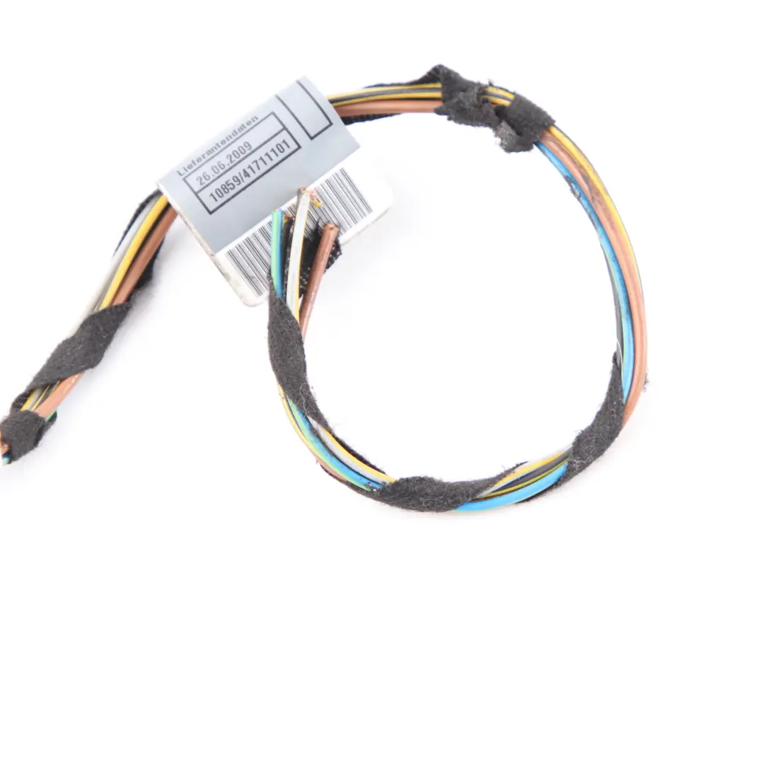 Enchufe BMW E90 LCI Berlina Luz En El Panel Lateral Izquierdo Cableado 6984754