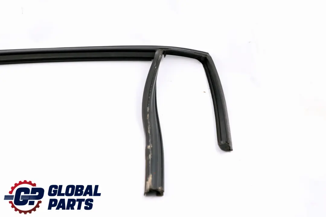 BMW 3 Series E91 Window Guide Left Rear Door N/S Seal 7119969 7289663