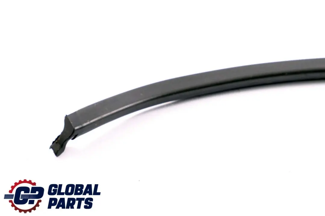 BMW X6 Series E71 Window Guide Seal Rear Left Door N/S 7310321