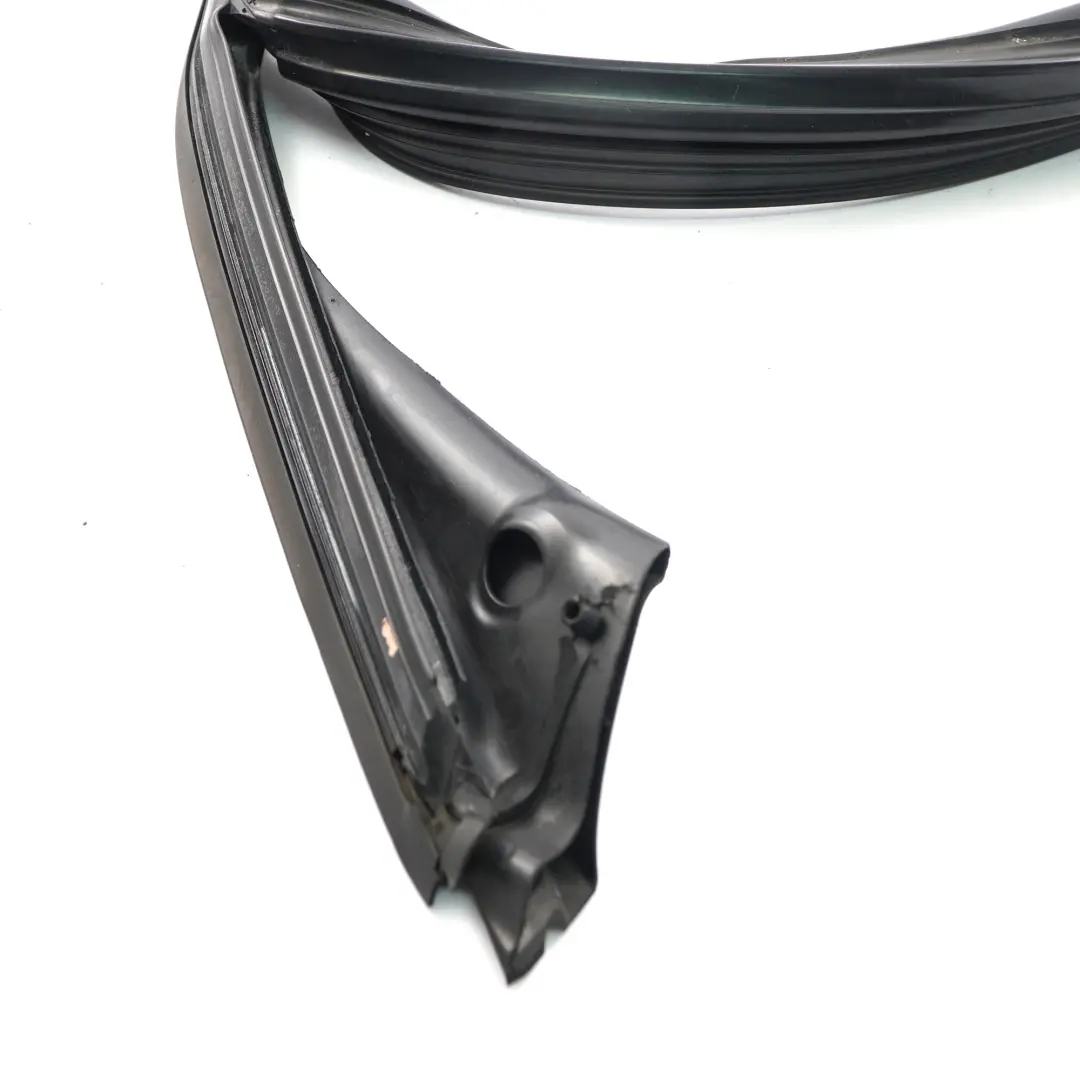 BMW X1 F48 Joint de guidage de vitre Porte avant gauche Rubber Strip 7362237