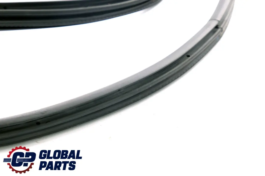 BMW F31 Touring Rear Left N/S Door Seal Weatherstrip 7377415