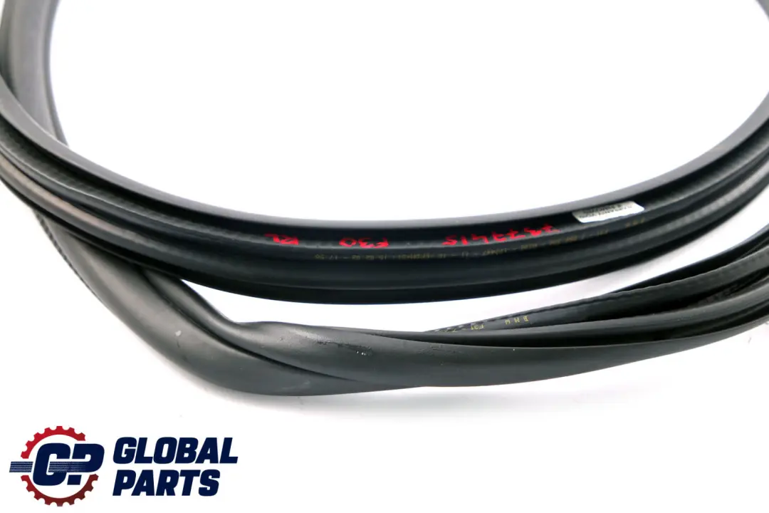 BMW F31 Touring Rear Left N/S Door Seal Weatherstrip 7377415