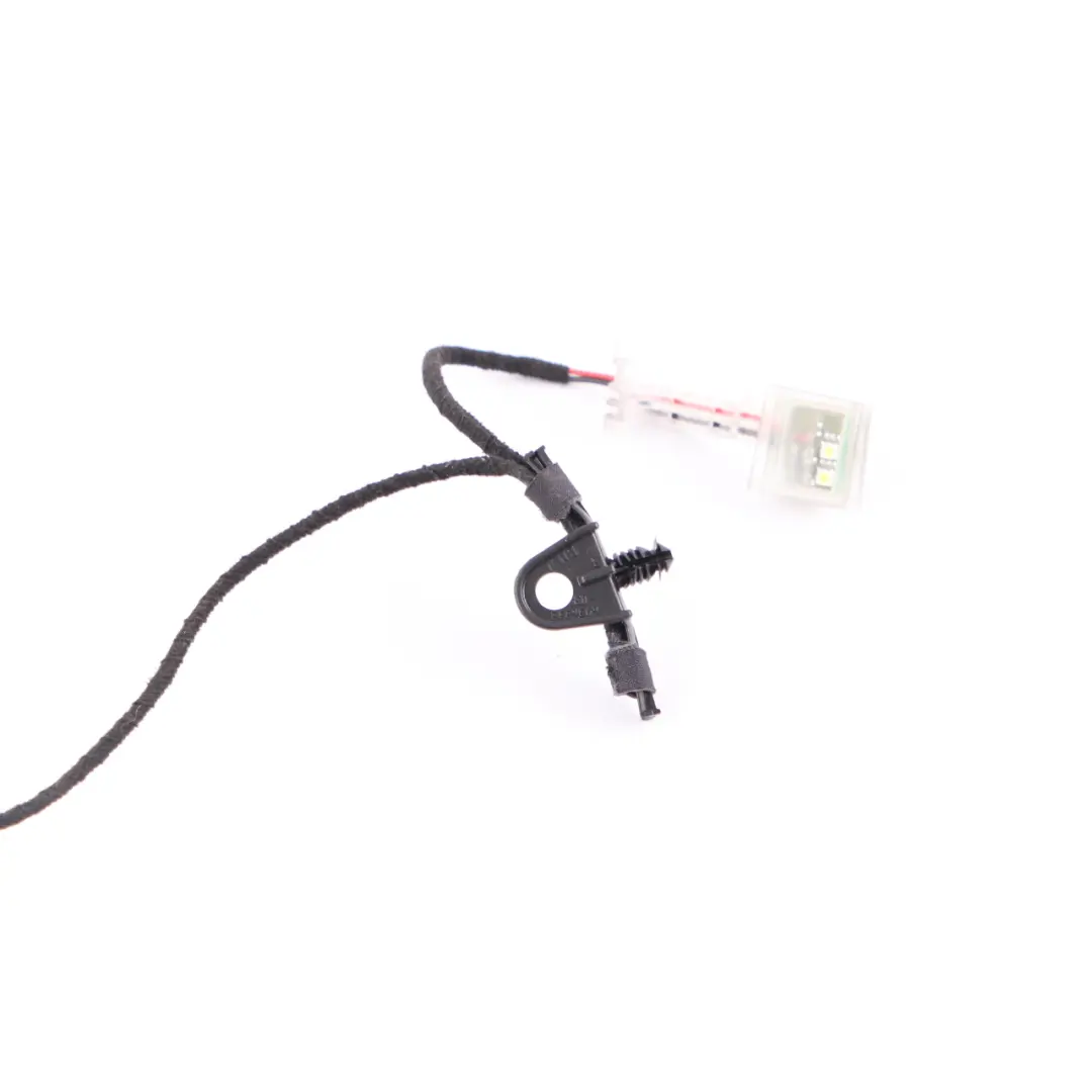 Cable Puerta BMW F25 F26 Derecha O/S Cableado Mazo Manija Luz Lámpara 7252538