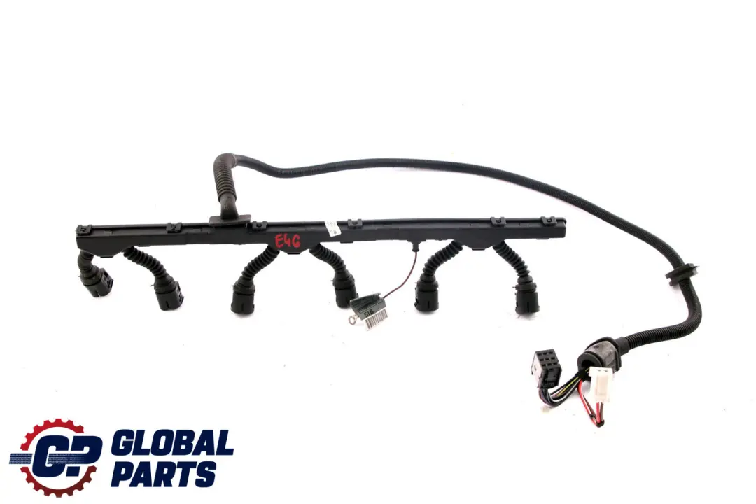 BMW 3 Series E46 Wiring Loom Harness Engine Module Ignition Petrol 7518044