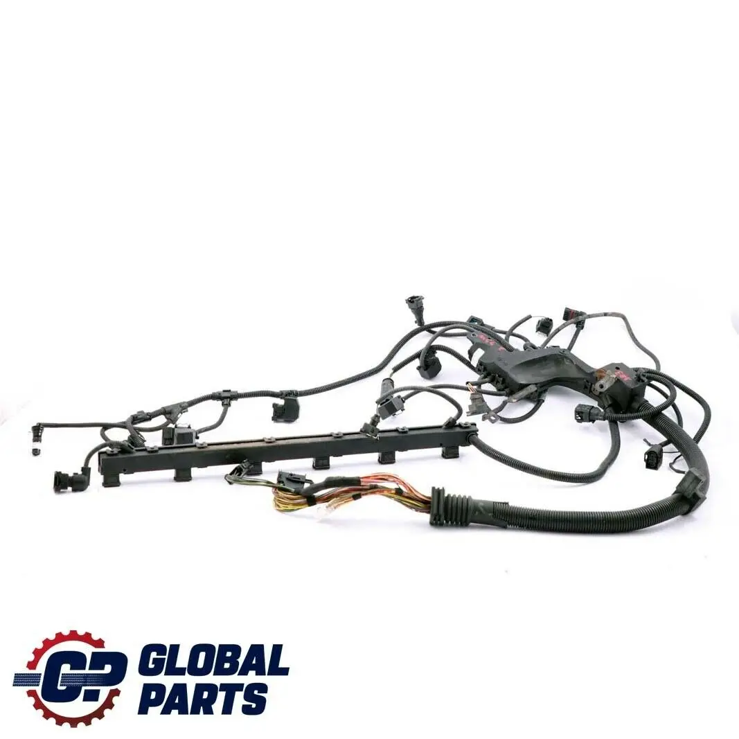 BMW Z4 Series E85 Petrol M54 Wiring Loom Harness Engine Gearbox Manual 7524106