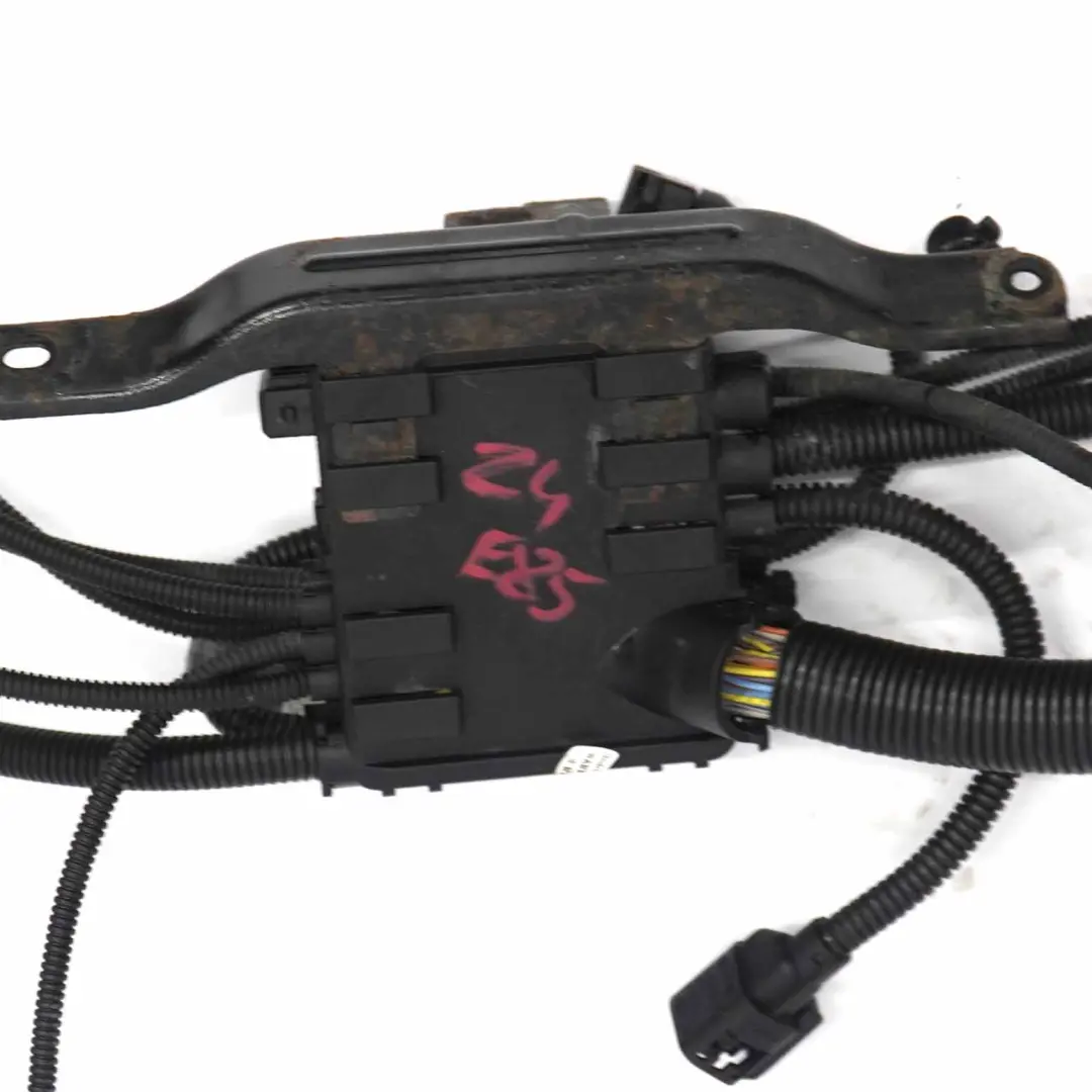 Engine Wiring BMW Z4 E85 E86 Petrol N52 Loom Harness Module Manual 7556880