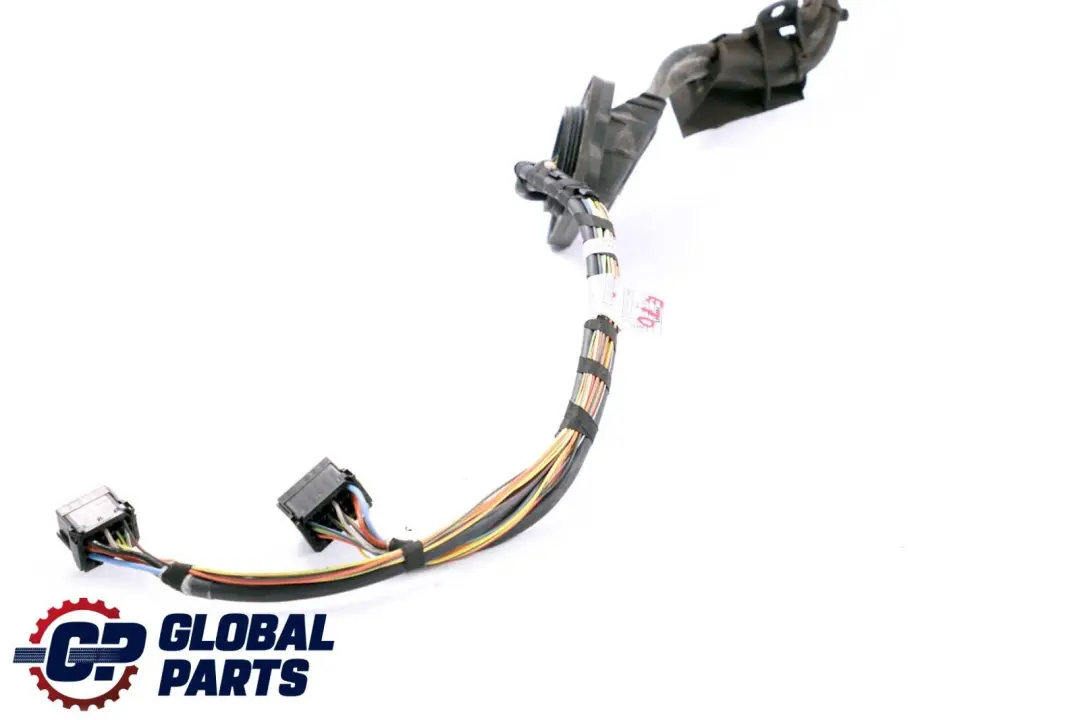 BMW X5 X6 Serie E70 E71 Cableado Mazo Eje Diferencial Trasero 7575579