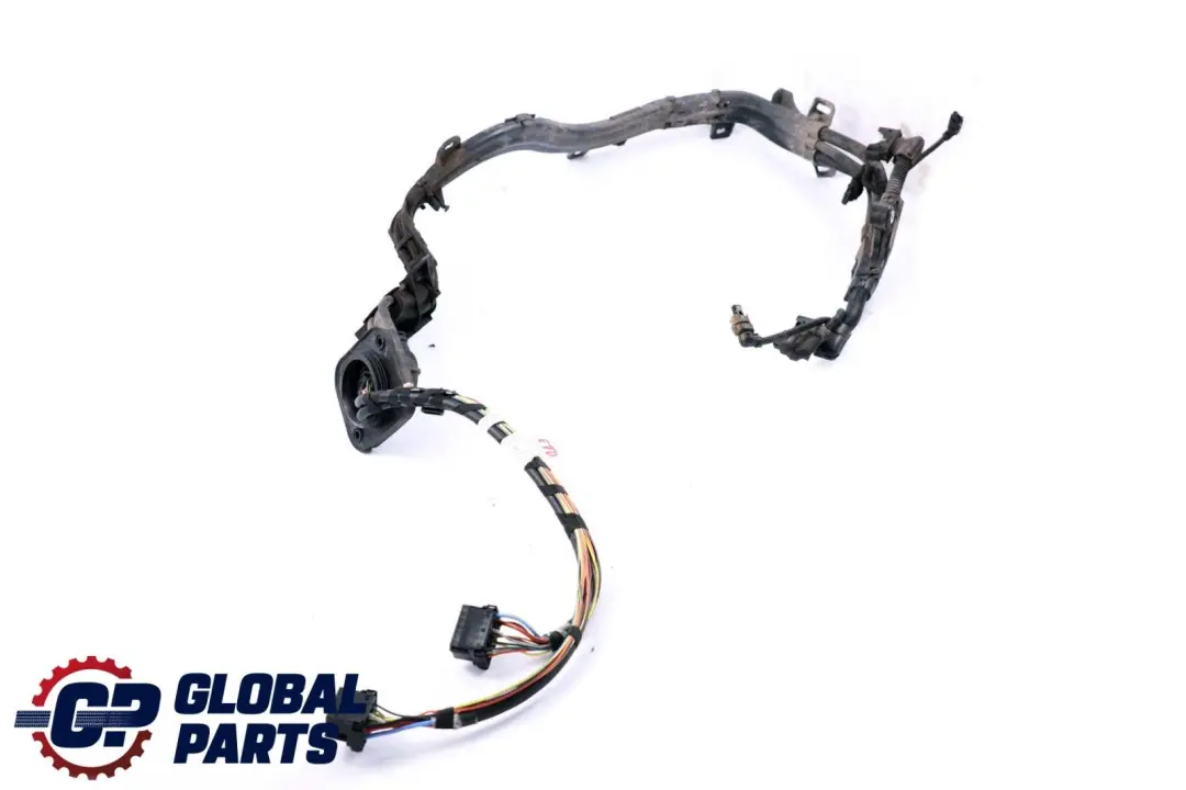 BMW X5 X6 Serie E70 E71 Cableado Mazo Eje Diferencial Trasero 7575579