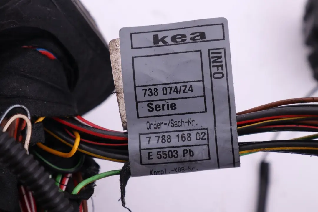 BMW X5 er E53 3.0d M57 Kabelbaum Motor Injektormodul 7785049 7788168