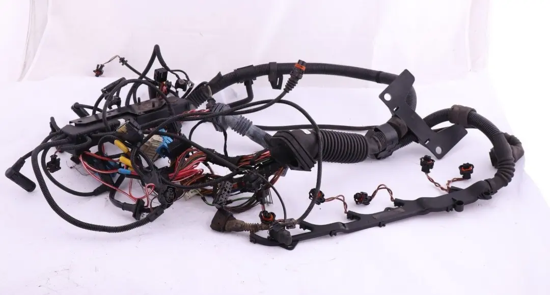 BMW X5 er E53 3.0d M57 Kabelbaum Motor Injektormodul 7785049 7788168