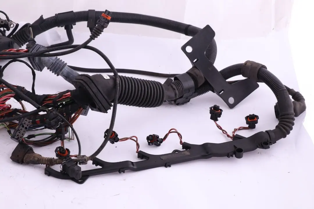 BMW X5 er E53 3.0d M57 Kabelbaum Motor Injektormodul 7785049 7788168