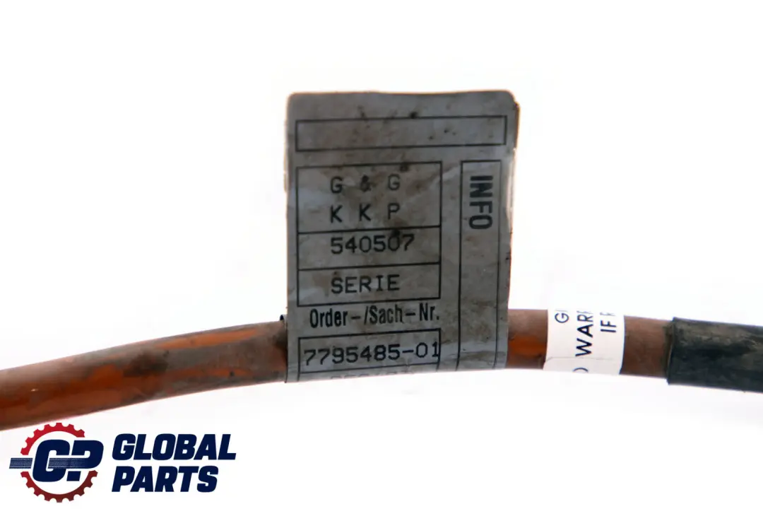 BMW X1 E81 E84 E87 E90 E91 Cable de tierra Cable de la batería 7795485