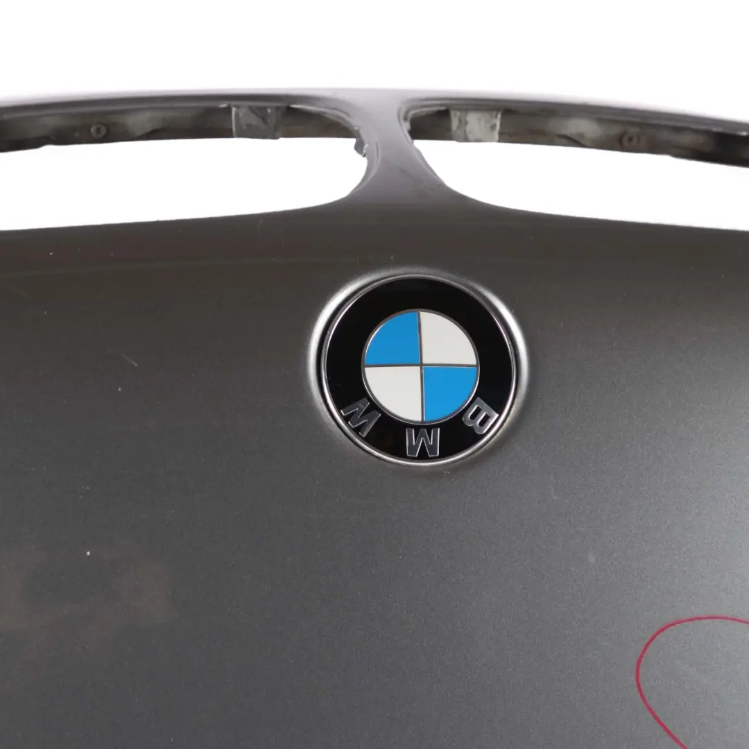 BMW E46 M3 Hood Bonnet Cover Panel Silbergrau Silver Grey Metallic - A08