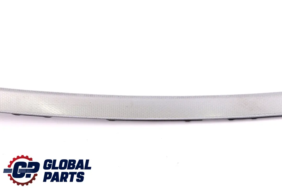 BMW 3 Series 1 E90 Alu Decor Strip Front Right O/S Door Glacier Silver 8036080