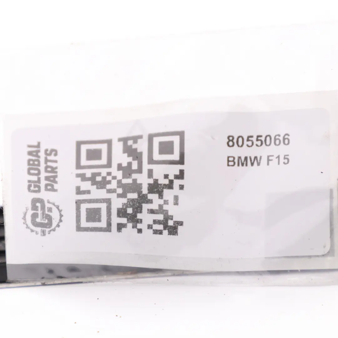 BMW X5 F15 Tapa Embellecedor de Puerta Tira de Entrada Trasera Izquierda 8055066