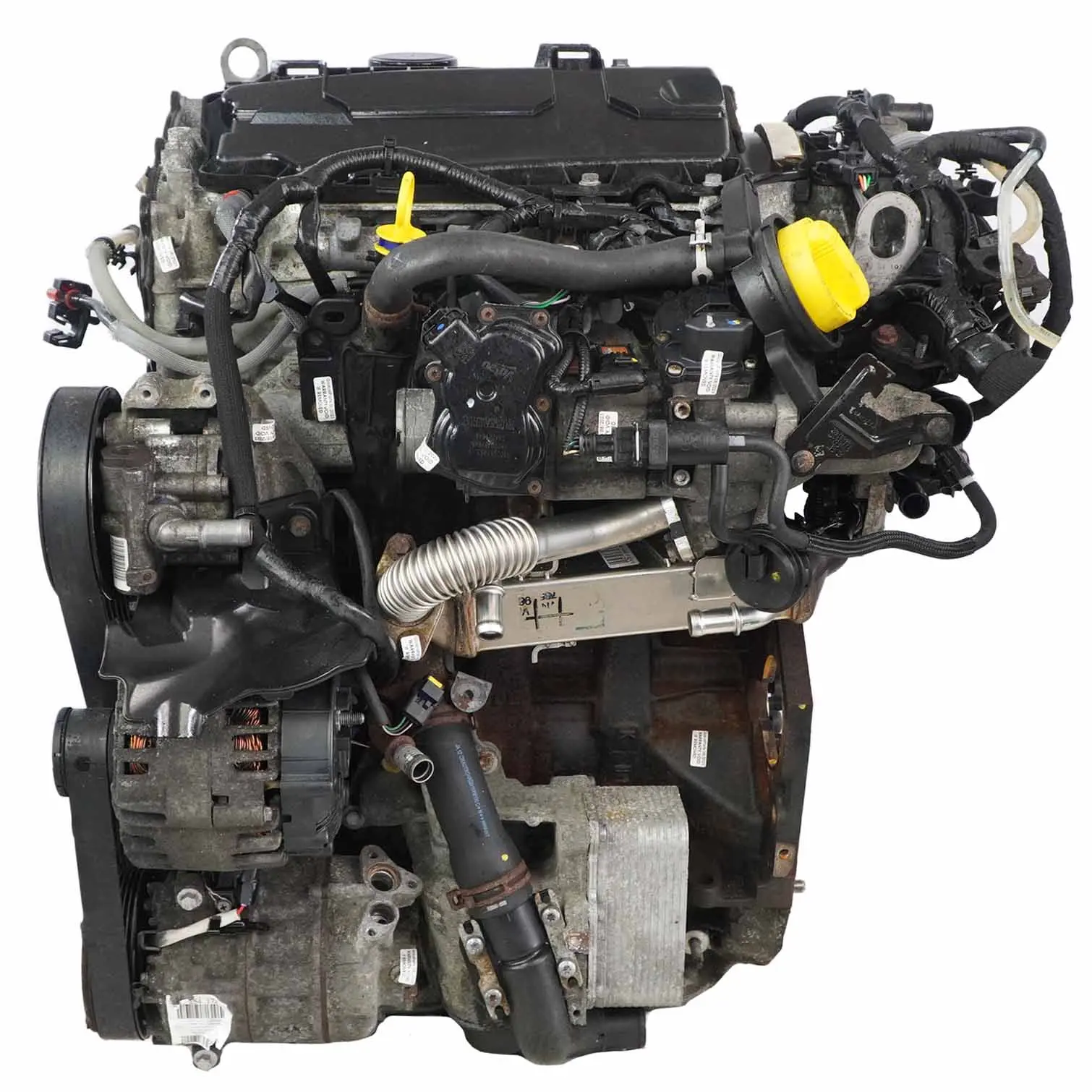 Renault Trafic II 2.0 DCI Complete Engine M9R 692 F6F6 M9RF6F6 85k, WARRANTY