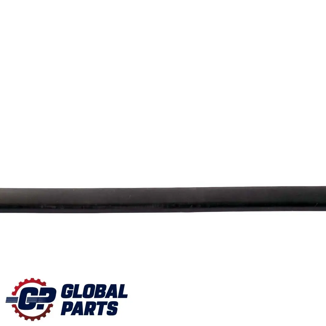 BMW E46 Front Left Door N/S Moulding Trim Strip Black 8208449