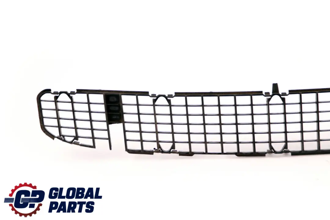 BMW E46 Griglia Paraurti Centrale Rivestimento Esterno Anteriore 8220766