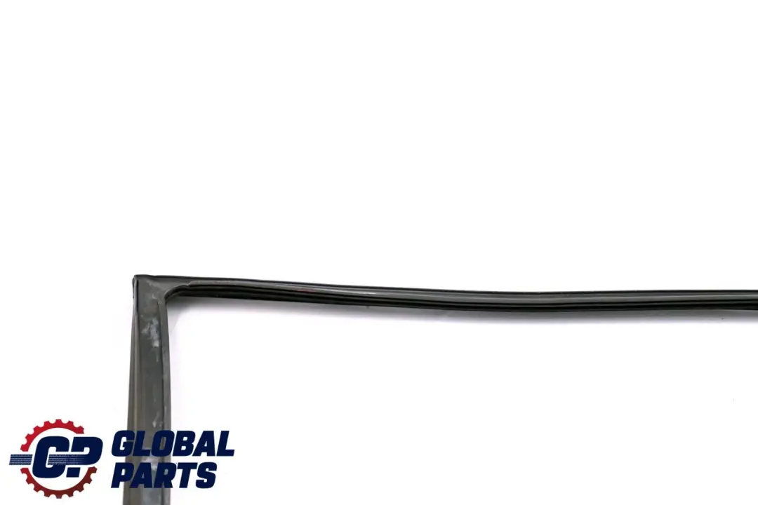 BMW 5 Series E39 Window Guide Seal Left Front Door N/S 8226873