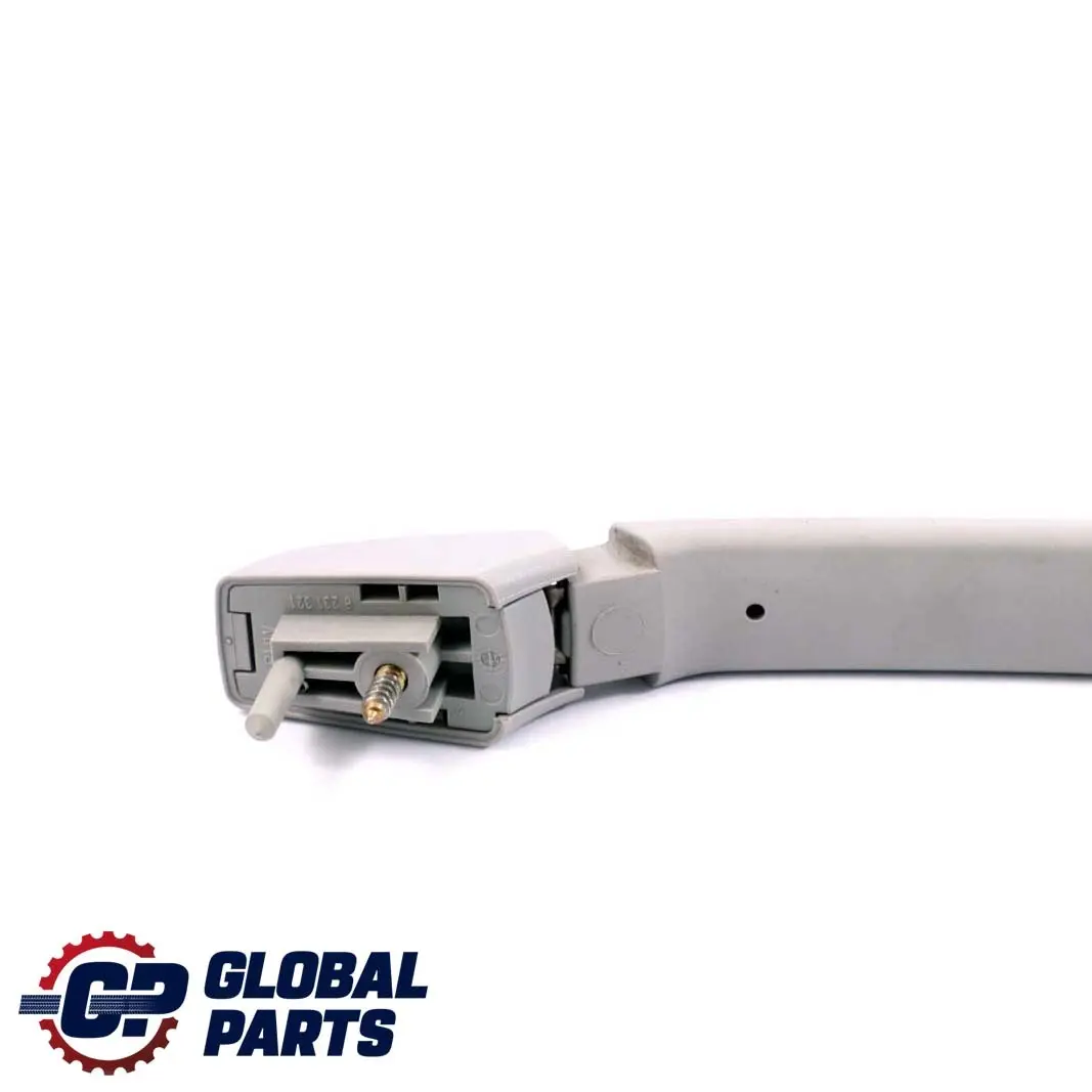 BMW E46 Asidero Techo ITS Delantero Izquierdo Derecho Gris Claro 8231322