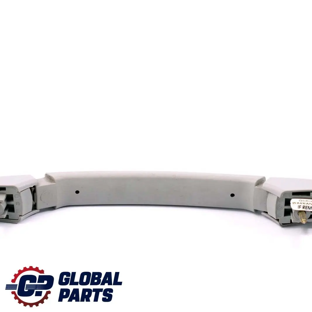 BMW E46 Asidero Techo ITS Delantero Izquierdo Derecho Gris Claro 8231322