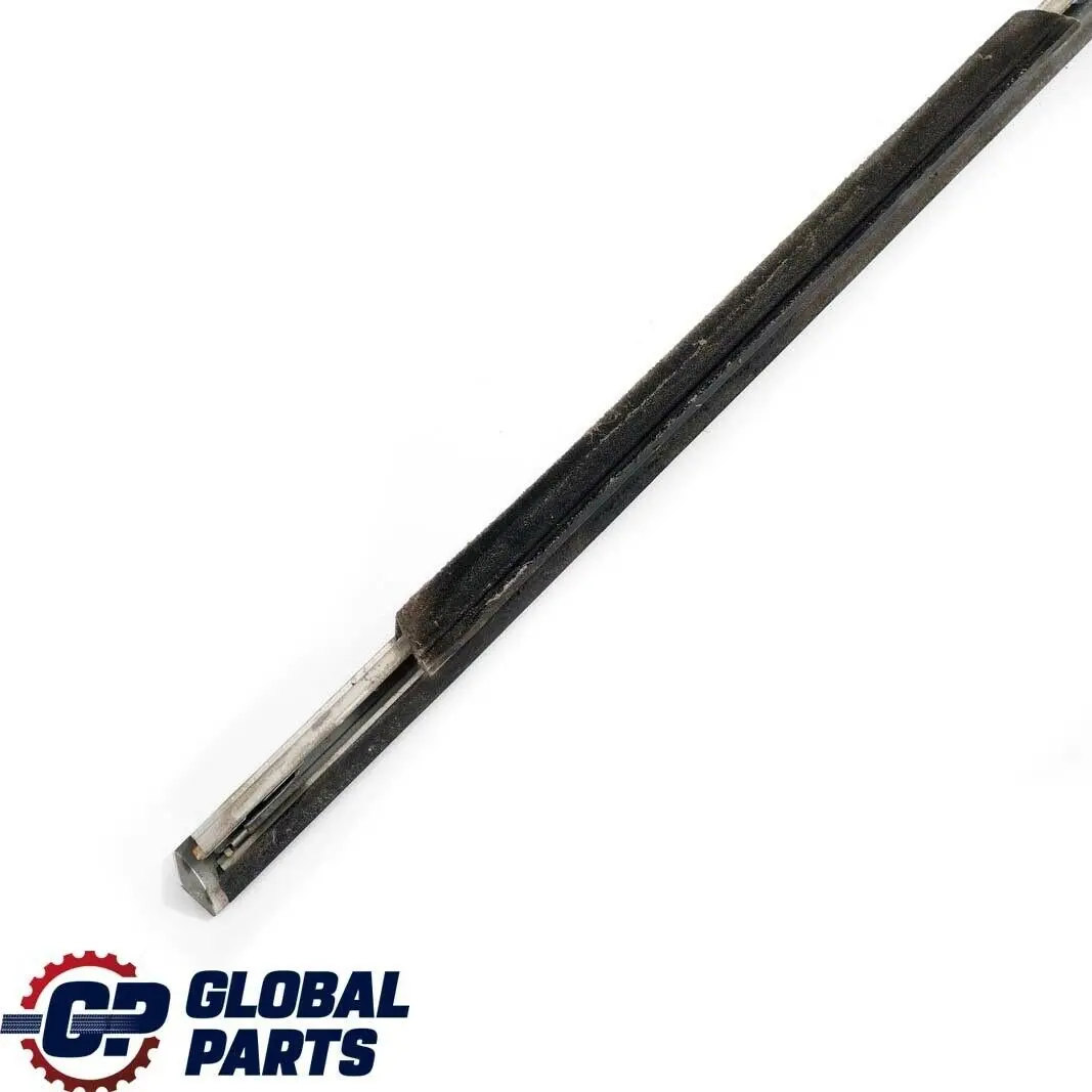 BMW X5 Series E53 Rear Left Door N/S Outer Weatherstrip Titan 8257733