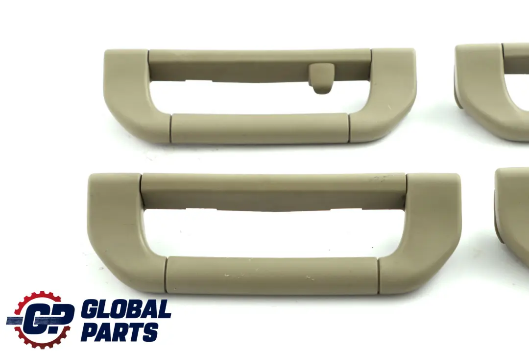 BMW X5 Series E53 Interior Over Head Liner Grab Handle Set Pastell Green