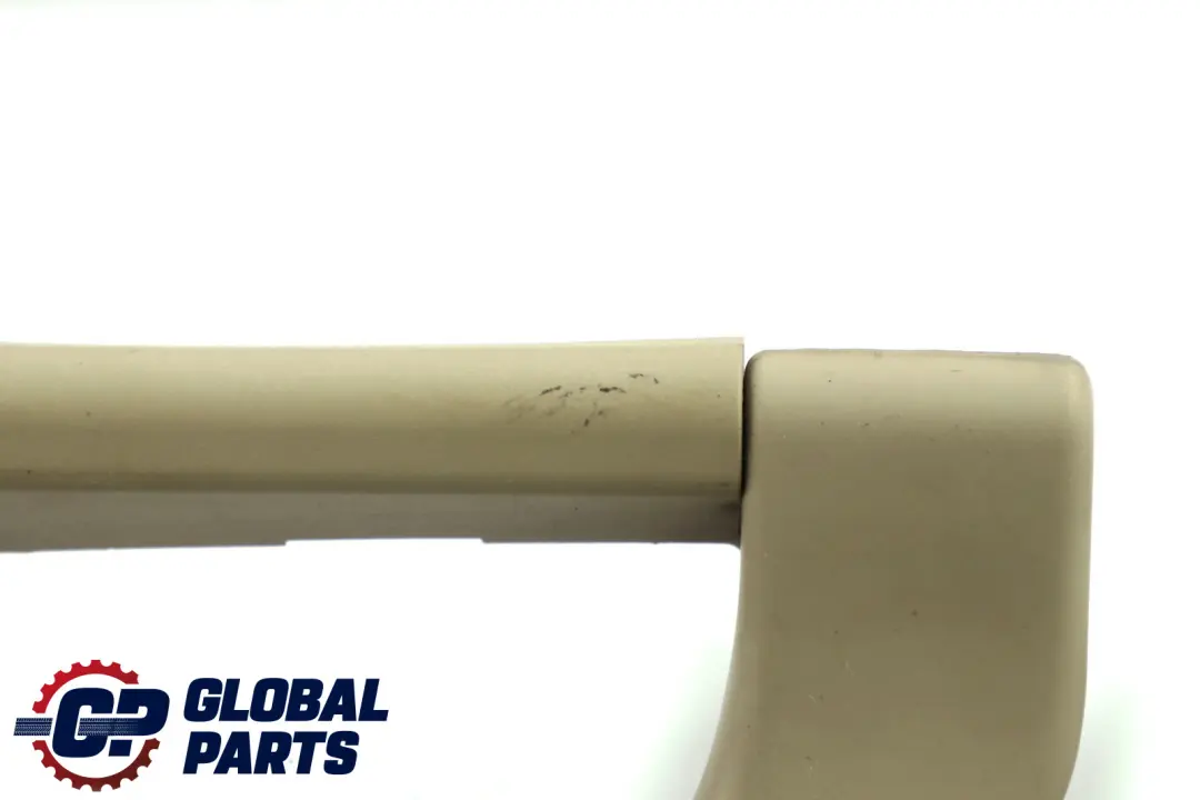 BMW X5 Series E53 Interior Over Head Liner Grab Handle Set Pastell Green