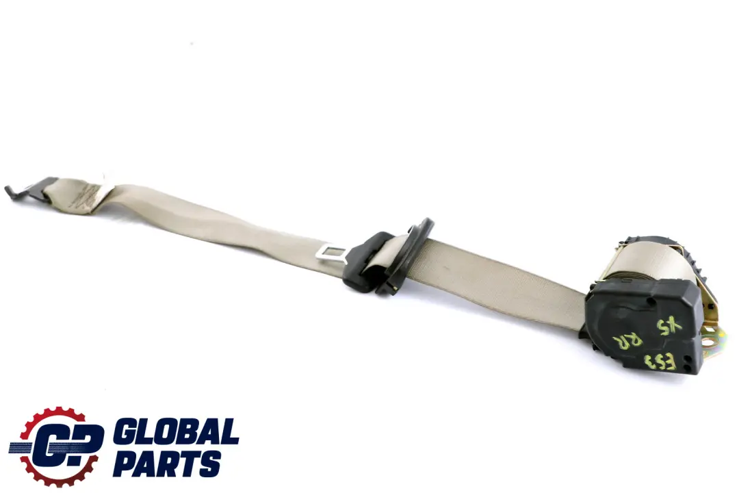 BMW X5 Series E53 Upper Belt Rear Right O/S Pastellgrün Pastel Green 8259006