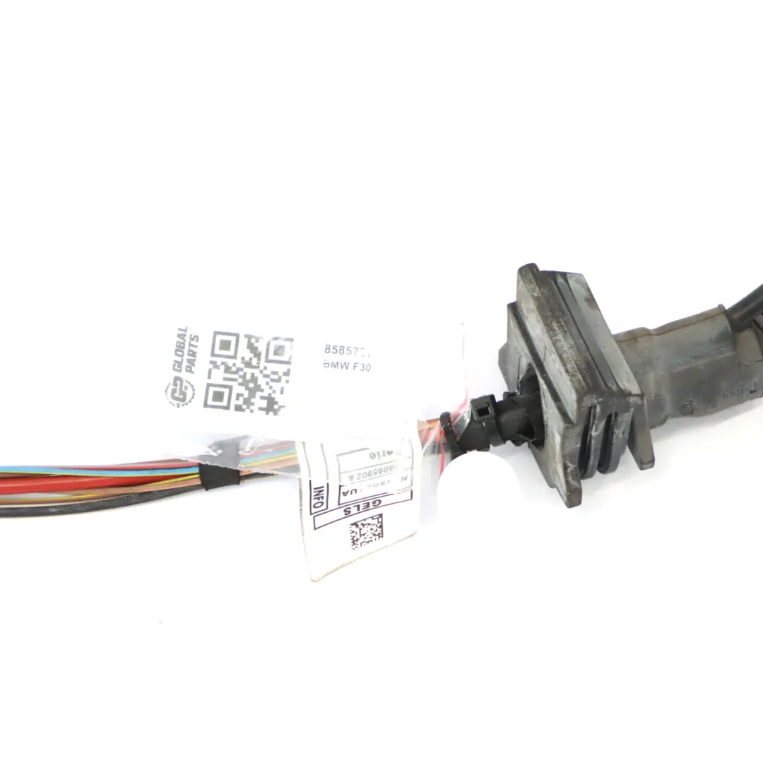 Cableado BMW F21 F30 F34 F36 Diesel N47N Motor Caja cambios Módulo Arnés 8585727